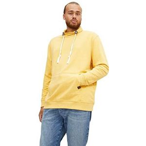 TOM TAILOR Uomini Plusize sweatshirt met sjaalkraag 1034743, 30400 - Pleasant Yellow Snow Melange, 4XL Große Größen