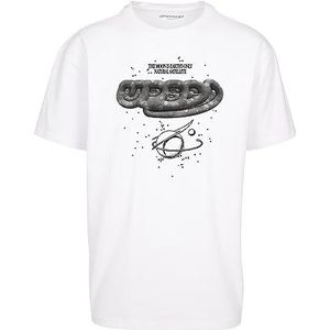 Mister Tee Unisex T-shirt NASA Moon Oversize Tee White M, wit, M