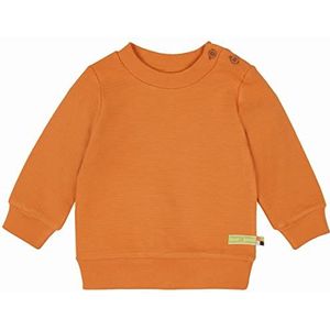 loud + proud Unisex kinderen ribstructuur, GOTS-gecertificeerd shirt, Carrot 74/80, karrood