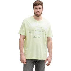 TOM TAILOR Plussize T-shirt voor heren, 29078 - Lime Cream Green, 4XL