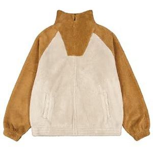 Champion Legacy C-Tech (220409) - Polar Y/D Lamb Effect Full-Zip High-Neck Sweatshirt, Zilver/Tabak (SVL/TBO), L Heren FW24, Grijs Zilver/Tabak (Svl/Tbo), L