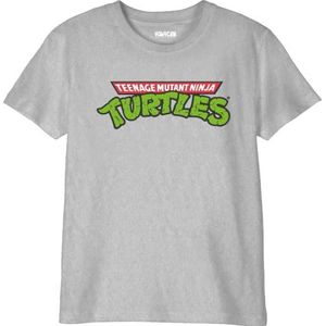 Tortues Ninja BOTMNTDTS002 T-shirt, grijs melange, 10 jaar, Grijs melange, 10 Jaar