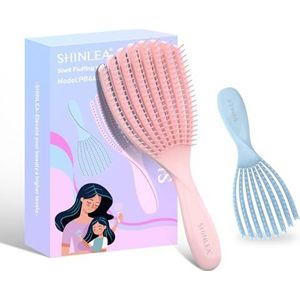 Haarborstel - SHINLEA 2 stuks ontwarren krullend haar - vermindert breuk, elimineert knopen, mini-haarborstel gebruik in nat en