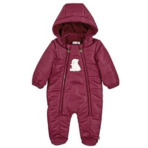 Boxpak - Gewatteerd - Waterafstotend - Borduurwerk Beer - Afneembare Capuchon