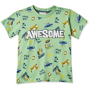 Chicco T-shirt met korte mouwen voor kinderen, 055, 6 m