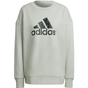 adidas Sweatshirt van het merk W FI GFX Q3 SWT