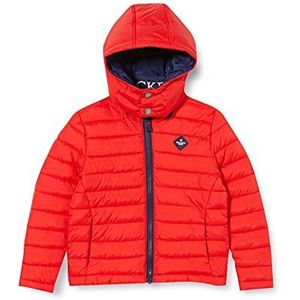 Hackett London Basic Puffa B Jacket voor jongens, 2fmhigh risk red, 24 maanden
