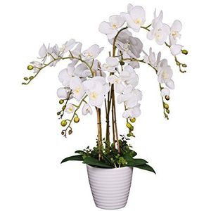 AMERIQUE Unieke en prachtige Phalaenopsis orchidee kunstplant, zijden bloemen met echte aanrakingsbladeren, met kwekerijpot, 2,5', wit