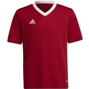 Adidas Performance Junior Voetbalshirt