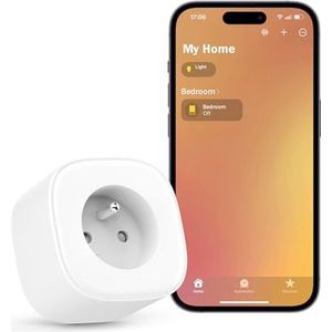 Meross WiFi Smart Plug, Smart Plug met spraakbediening, afstandsbediening en tijdfunctie, werkt met Alexa, Apple HomeKit en Google Home