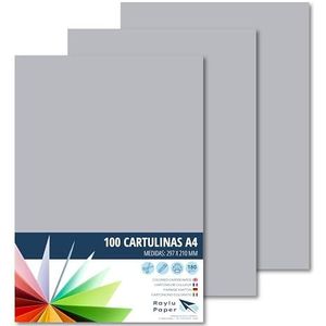 Raylu Paper® A4 100 stuks grijs, 180 g, 210 x 297 mm, ideaal voor boekbinders, kantoorwerk, tekenen, knutselen, geschikt voor school. (lichtgrijs)
