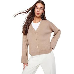 Trendyol FeMan Regular fit Basic V-hals gebreid vest, kameel, S, camel, S