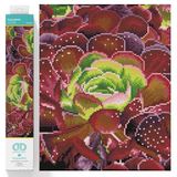 Diamond Dotz DQ9-008 Squares Succulents, ca. 32 x 52 cm groot, Diamond Painting, schilderen met diamanten, fonkelende afbeelding om zelf vorm te geven, voor kinderen en volwassenen