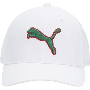 PUMA Unisex Evercat Dillon Stretch Fit Cap Baseballpet, wit/groen, L/XL