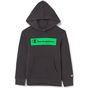 Champion Flock Box sweatshirt met capuchon voor kinderen en jongeren, IJzer grijs, 11-12 Jaar