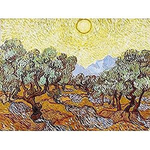 Fine Art Prints Vincent van Gogh olijfbomen Minneapolis Institute of Arts kunstdruk canvas premium wanddecoratie poster muurschildering, 40 x 30 cm