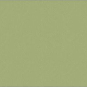 Graham & Brown 100038 SFE Lynn Superfresco Paradise behang, groen, 1005x53 cm