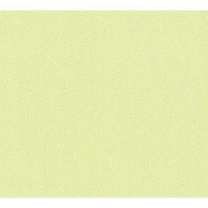 A.S. Création 326543 vliesbehang collectie Del Sol Natuur 10,05 m (Länge) x 0,53 m (Breite) groen