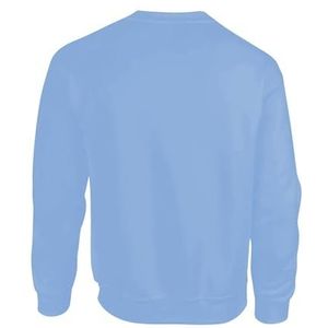 AMERICAN COLLEGE USA Sweatshirt Sweatshirt Print Warme Kleding Unisex Mannen en Vrouwen Casual Model ACSCRW5 Sky Blue XS, Turkoois, XS