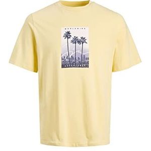 JACK & JONES Heren T-shirt met ronde hals Jorsplash Photo - Regular Fit S M L XL XXL, French Vanilla, L