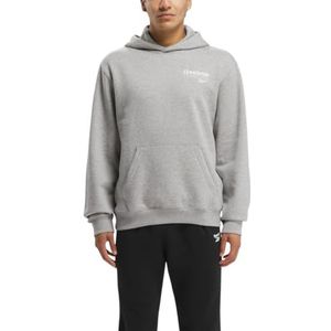 Reebok RI BRAND TROTS HOODIE, Mgreyh, XS