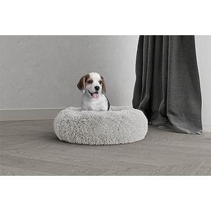 Italian Bed Linen Dreams Sogni e Capricci Pets, zacht polyester, crèmekleurig, 50 x 50 cm