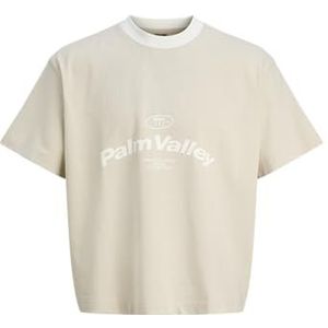 Jack & Jones - Jcoretreat Contrast Tee - T-shirt - Maanbeam - Korte Mouwen