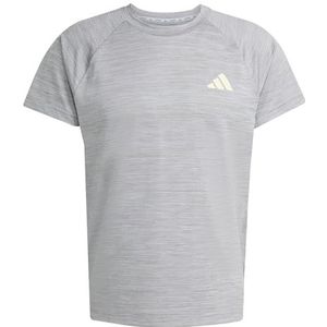 adidas Heren Gym+ T-Shirt, halo silver, L