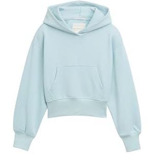 Sweatshirt - Effen - Capuchon - Losse Pasvorm - Lange Mouw