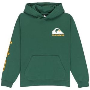 Quiksilver Fleece trui Omni Logo Hoodie Multi 10