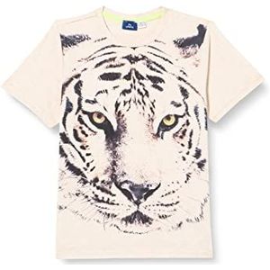 Chicco T-shirt met korte mouwen, grijs, normaal voor kinderen en jongens, Grijs