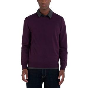 Replay - Regular Fit - Trui - Pruim - Katoen