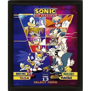 Pyramid International Sonic the Hedgehog Poster in 3D (Select Your Fighter Design) Lenticular 3D-muurkunst en posters in zwarte fotolijst 25 cm x 20 cm x 1,5 cm - officiële merchandise