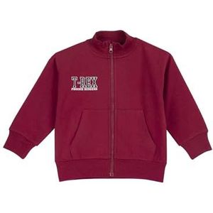 Chicco Sweatshirt met ritssluiting, trainingsshirt voor kinderen en jongeren, middenrood, 5 jaar