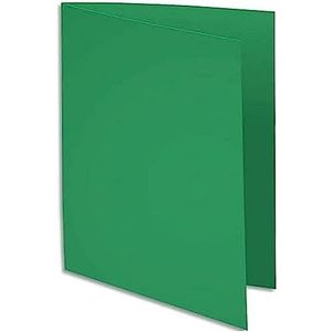 Exacompta - ref. 800004E - Set van 100 felgekleurde inlegmappen - ROCK''S - 80 g/m2 - in PEFC™ - gecertificeerde mappen - Afmetingen: 22 x 31 cm for A4 format - fir colour