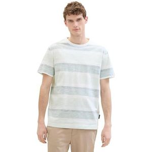 TOM TAILOR Heren T-shirt, 35653 - Paradise Mint Block Stripe, XL