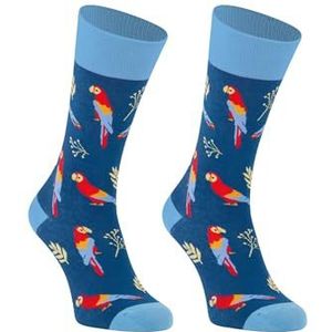mumka Damesschoenen, papegaaienpatroon, hoge sokken, blauw, maat 36 tot 41, pantoffels, meerkleurig, uniek, Meerkleurig, 36-41