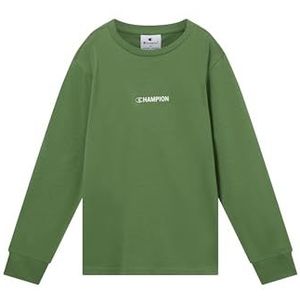 Champion Authentic Athletic Apparel Shirt  appel / wit