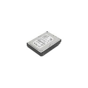 Lenovo 43N3411 320GB interne harde schijf (SATA, 7200rpm, 6,4 cm (2,5 inch))