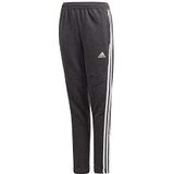 Adidas Tiro19 Ft Pnt Y