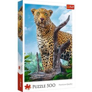 Trefl, puzzel, Wild luipaard, 500 stukjes, premium kwaliteit, voor volwassenen en kinderen vanaf 10 jaar