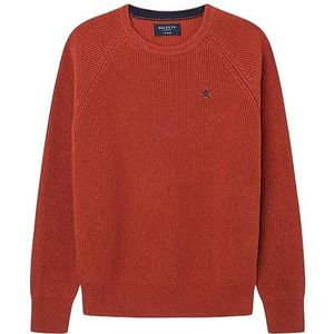 Hackett London Rib Crew Trui voor jongens, Rood (Terracotta), 9 jaar