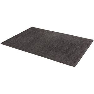 ASTRA Geweven tapijt Rivoli tapijt, polyester, grijs, 80 cm x 150 cm x 3 cm