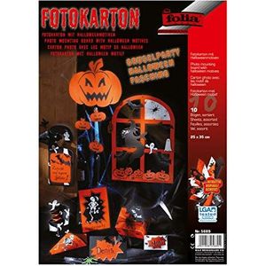 Fotokarton Halloween, 10 vellen, 300 g/m², 25 x 35 cm, tweezijdig bedrukt, verschillende motieven, ideaal voor griezelige knutselwerkjes.