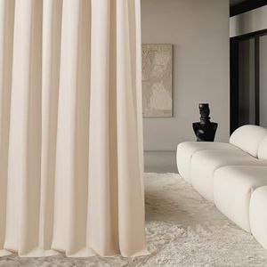 ROOM99 Flavia Gordijnen met plooiband, 200 x 250 cm breed x hoogte, voor woonkamer, slaapkamer, transparant, modern gordijn, voor woonkamer, slaapkamer, voor dakspansysteem, witte ruches, 1 stuk