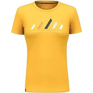 Salewa Unisex Pure Stripes Dry W T-shirt T-shirt