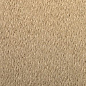 Clairefontaine - Ref 90866C - Etival Gekleurd Graineerd Tekening Papier (Verpakking van 5 Vellen) - A4 (29,7 x 21cm) - 160 g/m² Cellulose Art Paper - Camel - Zuurvrij, pH Neutraal