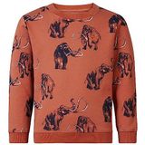 Noppies Kids Westchase Sweater voor jongens, met lange mouwen, allover print, Chutney - N109, 104 cm