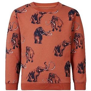 Noppies Kids Westchase Sweater voor jongens, met lange mouwen, allover print, Chutney - N109, 110 cm