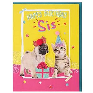 Clintons: Puppy En Kitten Party Hoeden Zus Verjaardagskaart 149x195mm